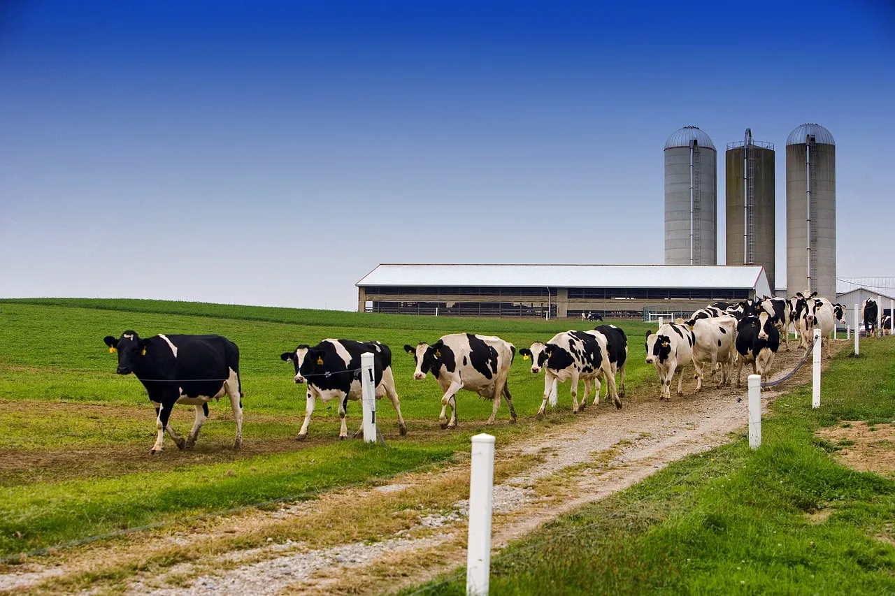 Agricoltura