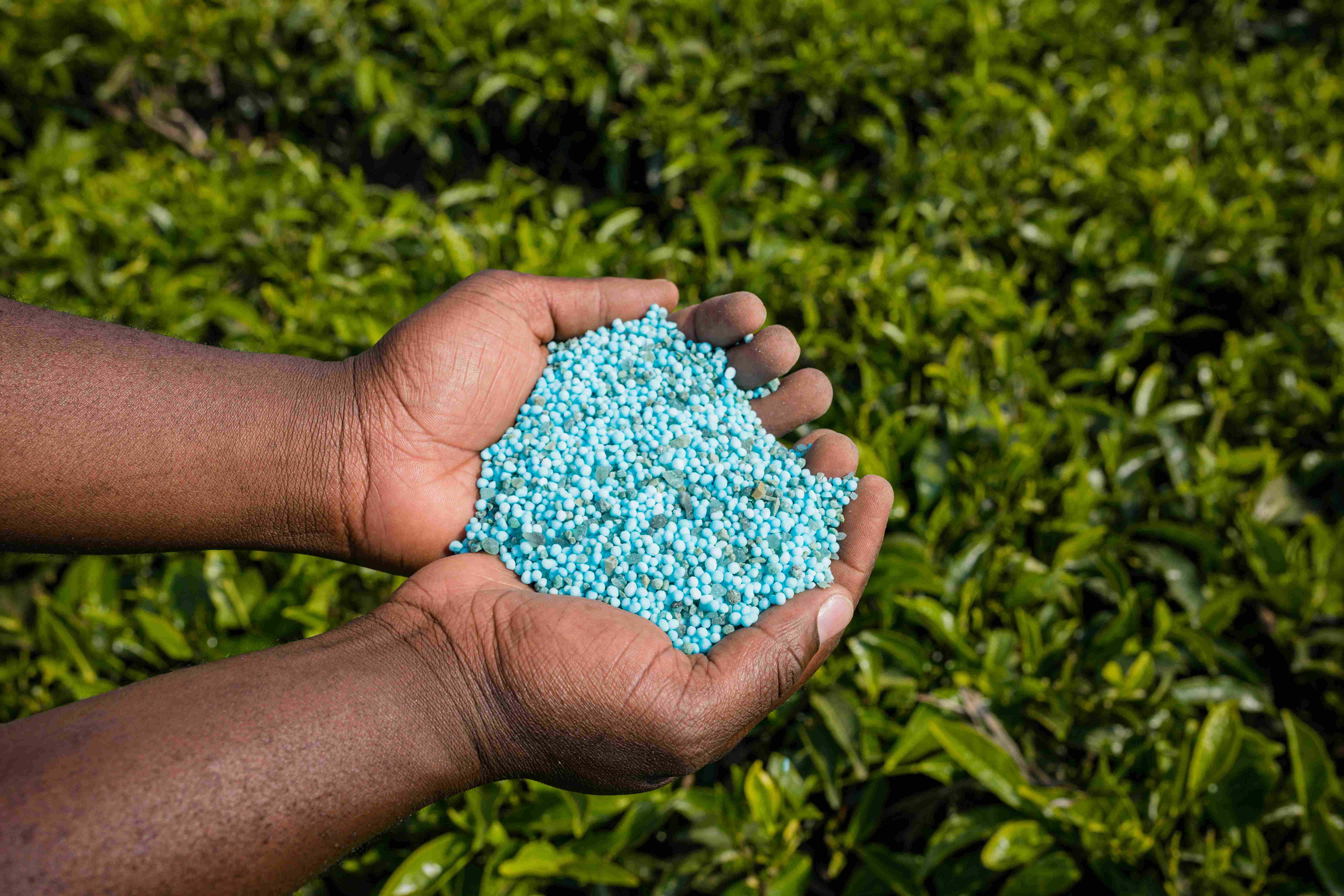 Agricoltura